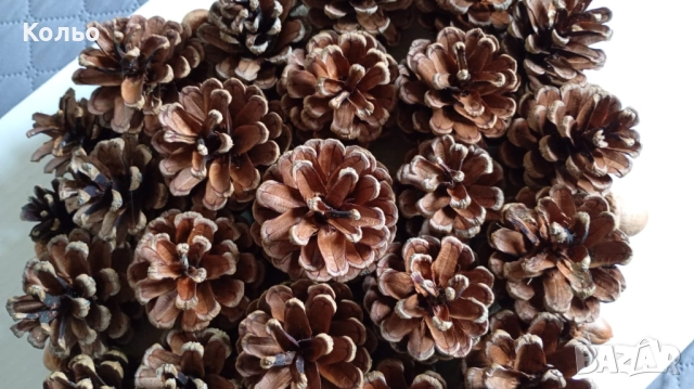 Коледна декорация →
Обява 52372404 Коледна декорация →
Обява 52372404