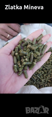 Гранула от люцерна
                

                с. Градина, Пловдив
                вчера

                                                            1,50 лв 
                        0,77 €