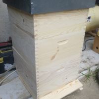 Обтелени пчелни рамки, снимка 5 - За пчели - 45335140
