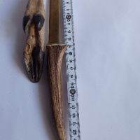 Нож и отварачка от еленови рога, снимка 2 - Декорация за дома - 45494712