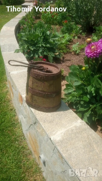 Павур,бъкел., снимка 1