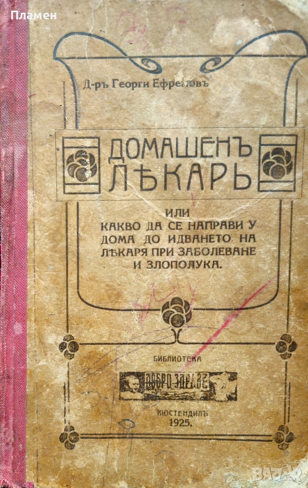 Домашенъ лекарь Георги Ефремовъ /1925/, снимка 1