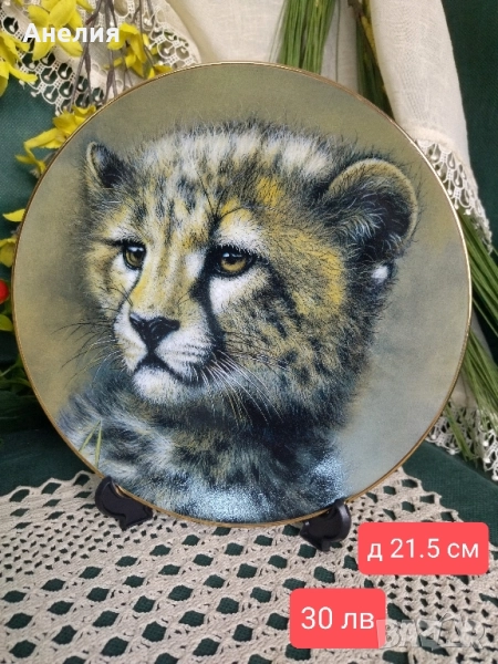 Чиния за стена -Малки големи котки, снимка 1