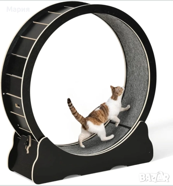 НОВО! КОТЕШКО КОЛЕЛО за бягане, игра и тренировка, снимка 1