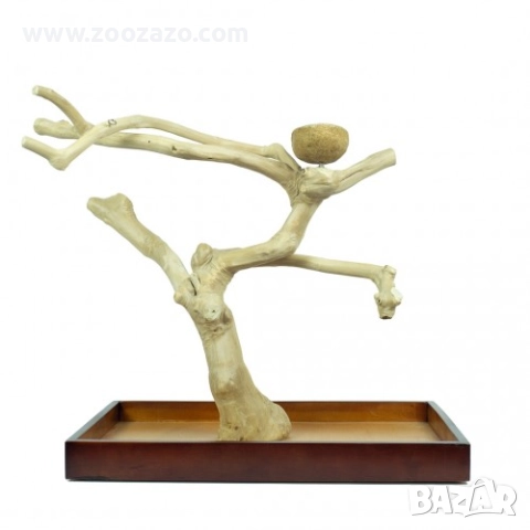 Стойка от естествено дърво за Папагали с купичка за храна/вода - Java Playstand - Модел: ZF1113, снимка 2 - За птици - 51703782