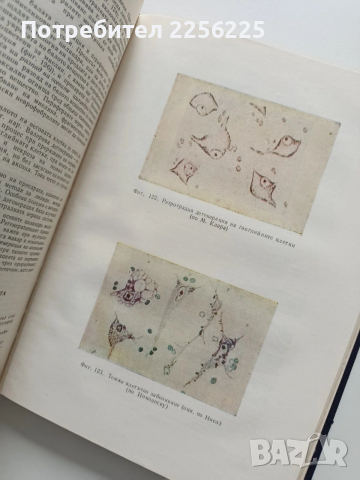 Неврология, снимка 8 - Специализирана литература - 54030397