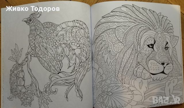 Книги за Оцветяване (Fashion,Joyful, Fantasy, Colour Beauty 1-4), снимка 13 - Други - 45523575