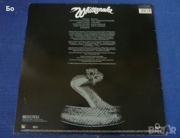 грамофонни плочи WhiteSnake , снимка 10 - Грамофонни плочи - 52474021