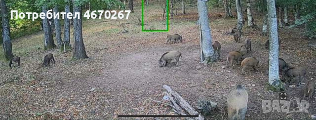 Двойна соларна камера 4G(сим карта) V360pro, снимка 2 - Други - 52871453