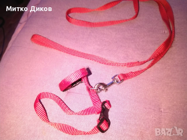 за куче верижка, снимка 2 - За кучета - 53237300