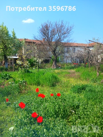 Собственик продава къща, снимка 7 - Къщи - 54280635