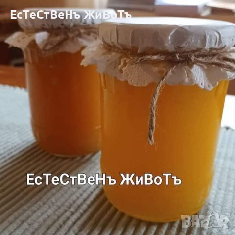 Полифлорен мед, снимка 1 - Пчелни продукти - 46276321