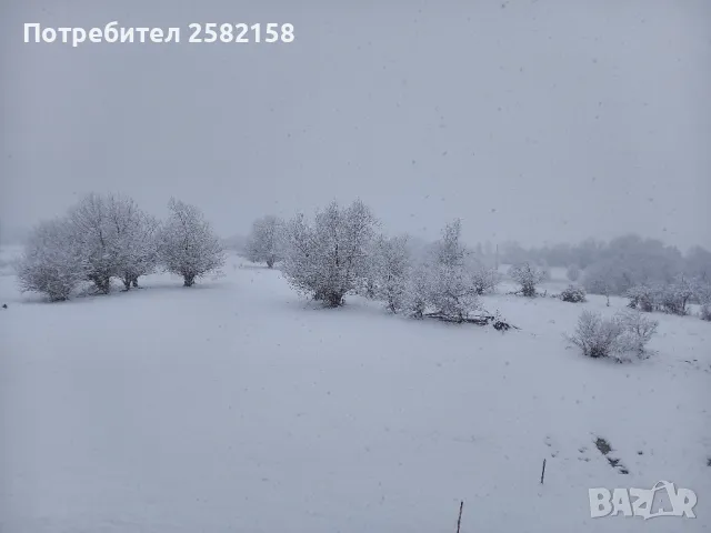 Къща за гости ”Тони” - Добринище, снимка 15 - Почивки на планина - 47089885