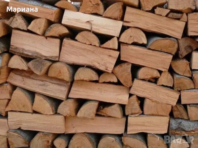 Продавам сухи нацепени букови дърва, готови за огрев, около 11 кубика, снимка 1 - Дърва за огрев - 45255773