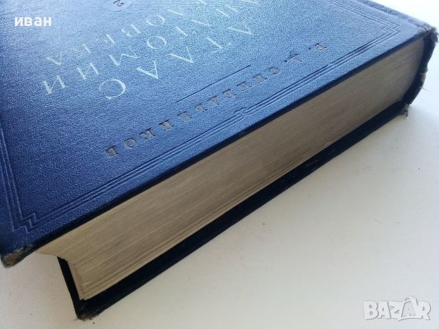 Атлас анатомии человека  том 2 - Р.Д.Синельников - 1956г., снимка 13 - Специализирана литература - 45536071