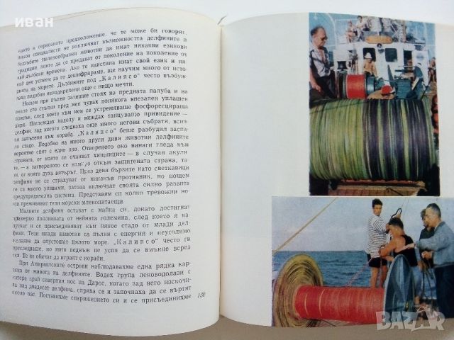 Живото море - Жак Кусто,Джеймс Дюган - 1967г., снимка 4 - Енциклопедии, справочници - 46467043