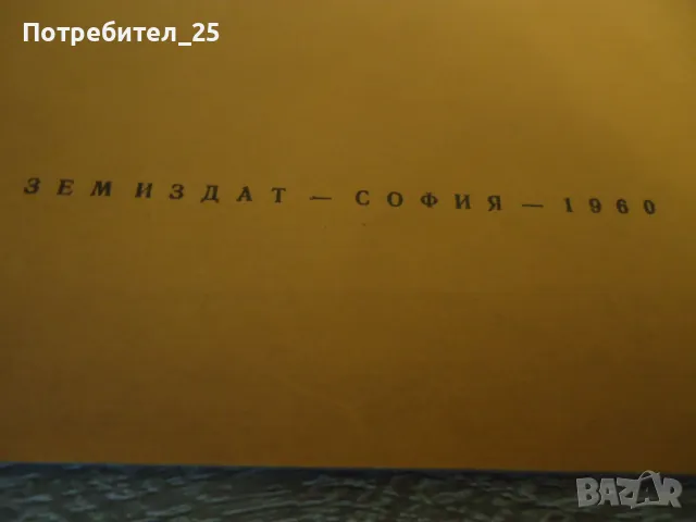 Стайно отглеждане на лимона, снимка 3 - Други - 49607248