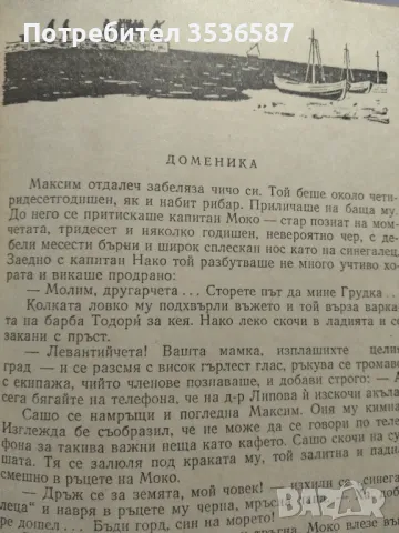 Славчо Чернишев , снимка 6 - Художествена литература - 48261960