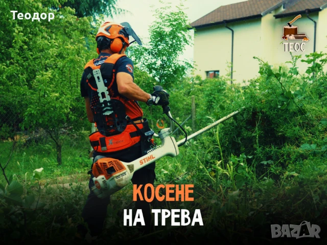 Косене не трева - отстраняване и извозване на растителност