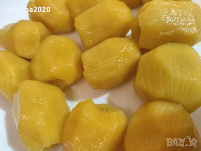 Киви Голд-Златно киви, снимка 8 - Градински цветя и растения - 28817698