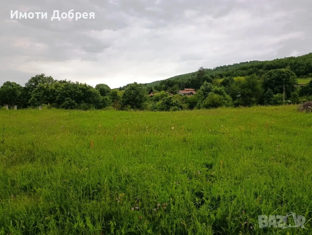 Парцел с панорама в с. Белиш - Троянски балкан, снимка 4 - Парцели - 50514537