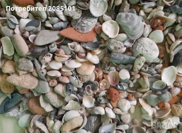Морски мидички и камъчета, снимка 8 - Други стоки за дома - 52146747