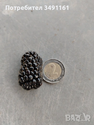 ПРОДАВАМ РАЗСАД КЪПИНИ, снимка 3 - Разсади - 53776684