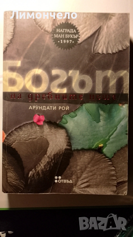 Блогът на дребните неща 2 - Арундати Рой