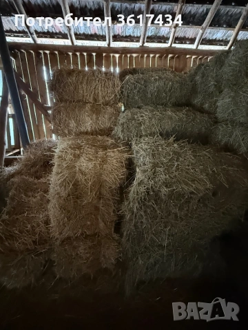 Бали, Слама