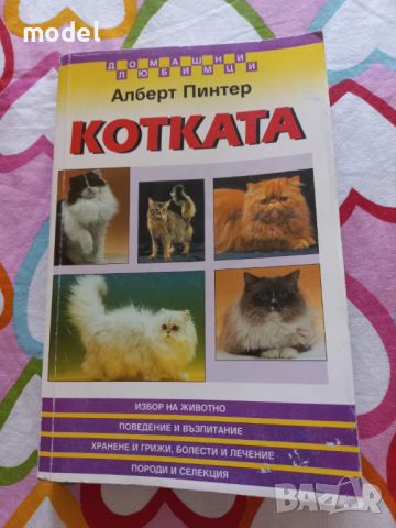 Котката - Алберт Пинтер, снимка 1 - Специализирана литература - 46226822