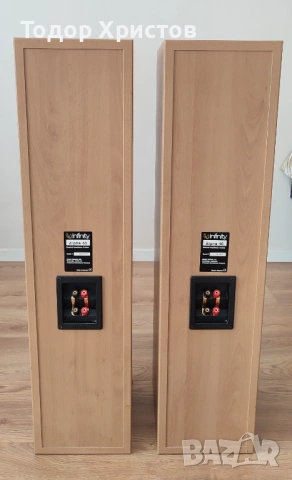 Тонколони Infinity Alpha 40, снимка 8 - Тонколони - 53241300