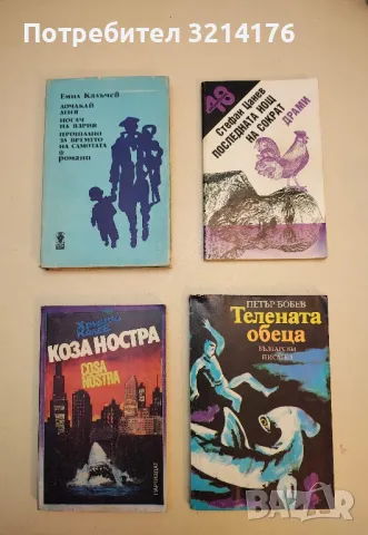 Сбогом любов - Рангел Игнатов, снимка 2 - Българска литература - 49647658