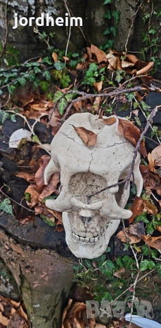 3D фентъзи черепи. 3D Fantasy realistic skulls dark fantasy, снимка 5 - Декорация за дома - 53940500