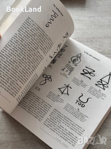 Рейки – Даян Стейн, Кибеа , снимка 13 - Други - 53295806