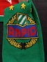 Шал на Рапид Виена , снимка 2