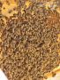 Пчелни семейства ( Отводки ), снимка 1 - За пчели - 45194239