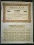 5 акции за 5000 лева | Джебелъ АД - София | 1943г., снимка 1
