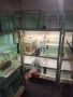 Продавам аквариомите по 50лв стила жители по 250лв, снимка 2