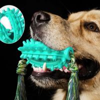 Играчка кактус – четка за зъби за домашни любимци, снимка 6 - За кучета - 45862950