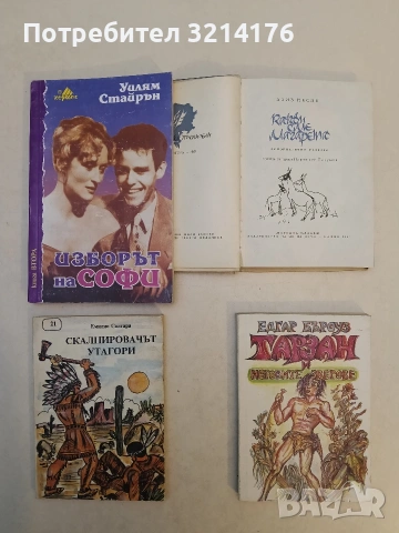 Какви сме магарета - Азис Несин (Отлично състояние), снимка 2 - Художествена литература - 53899823