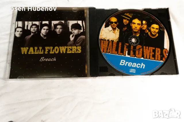 Wallflowers Breach, снимка 2 - CD дискове - 49277812