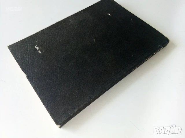 Младият Бог - Алма Йохана Кьонинг - 1989г., снимка 4 - Художествена литература - 50695103