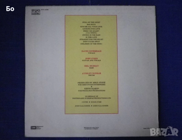 грамофонни плочи WhiteSnake , снимка 15 - Грамофонни плочи - 52474021