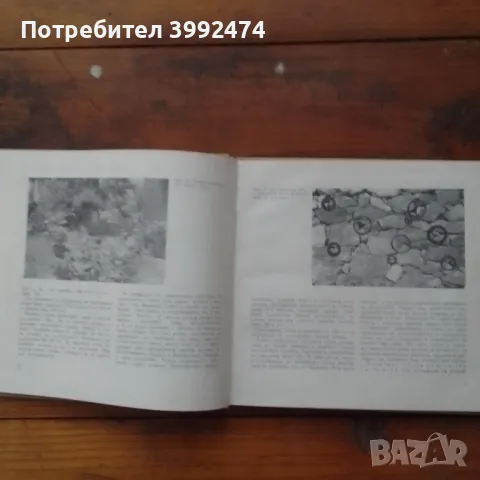 Скални цветни кътове и алпинеуми,1969, снимка 3 - Антикварни и старинни предмети - 49138765