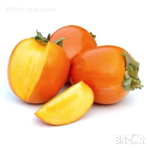 Райска ябълка 4 вида, снимка 4 - Градински цветя и растения - 53632049