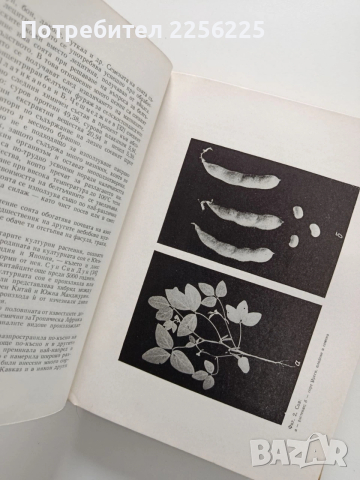 Растениевъдство ( том 2), снимка 2 - Специализирана литература - 53922748
