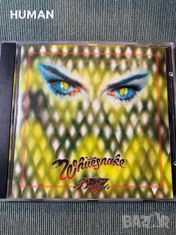 Whitesnake,Madonna,Foreigner,Tina, снимка 5 - CD дискове - 45573494