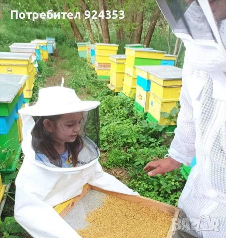 Пчелни отводки Дадан Блат, снимка 2 - За пчели - 54082327