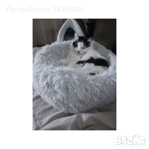 Меко легло за куче или котка 3164, снимка 14 - Други стоки за животни - 52774544
