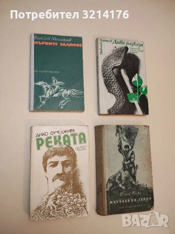 Първите залпове - Радослав Михайлов